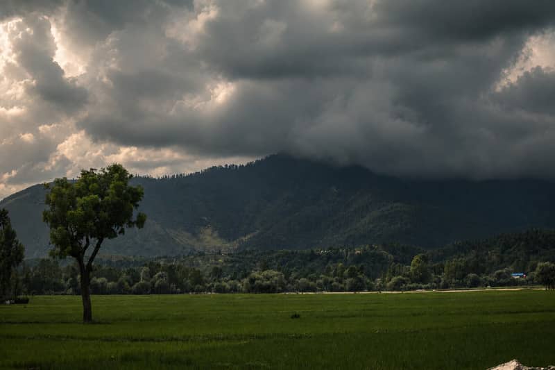Lolab Valley — peaceful valley surrounded by pine forests