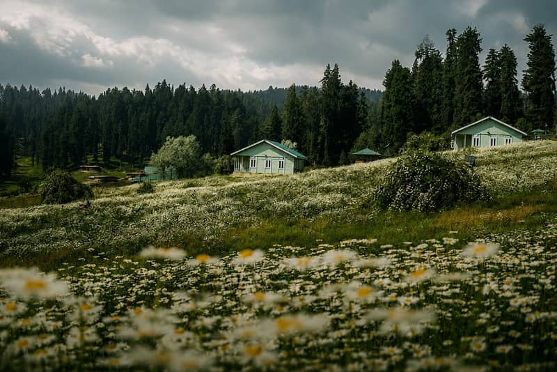 Yusmarg meadow — a hidden gem in Kashmir