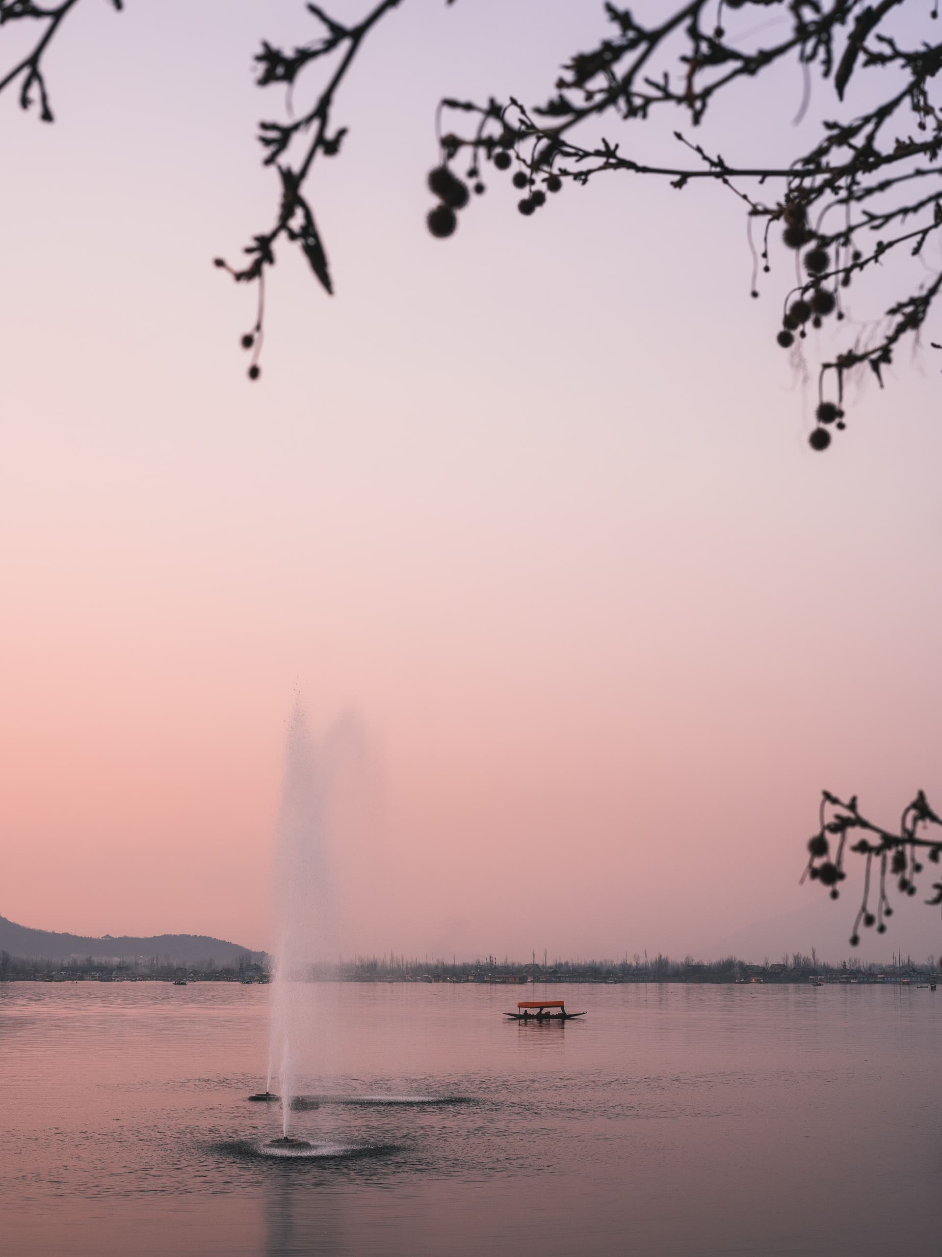 Dal Lake Shikara at Sunset