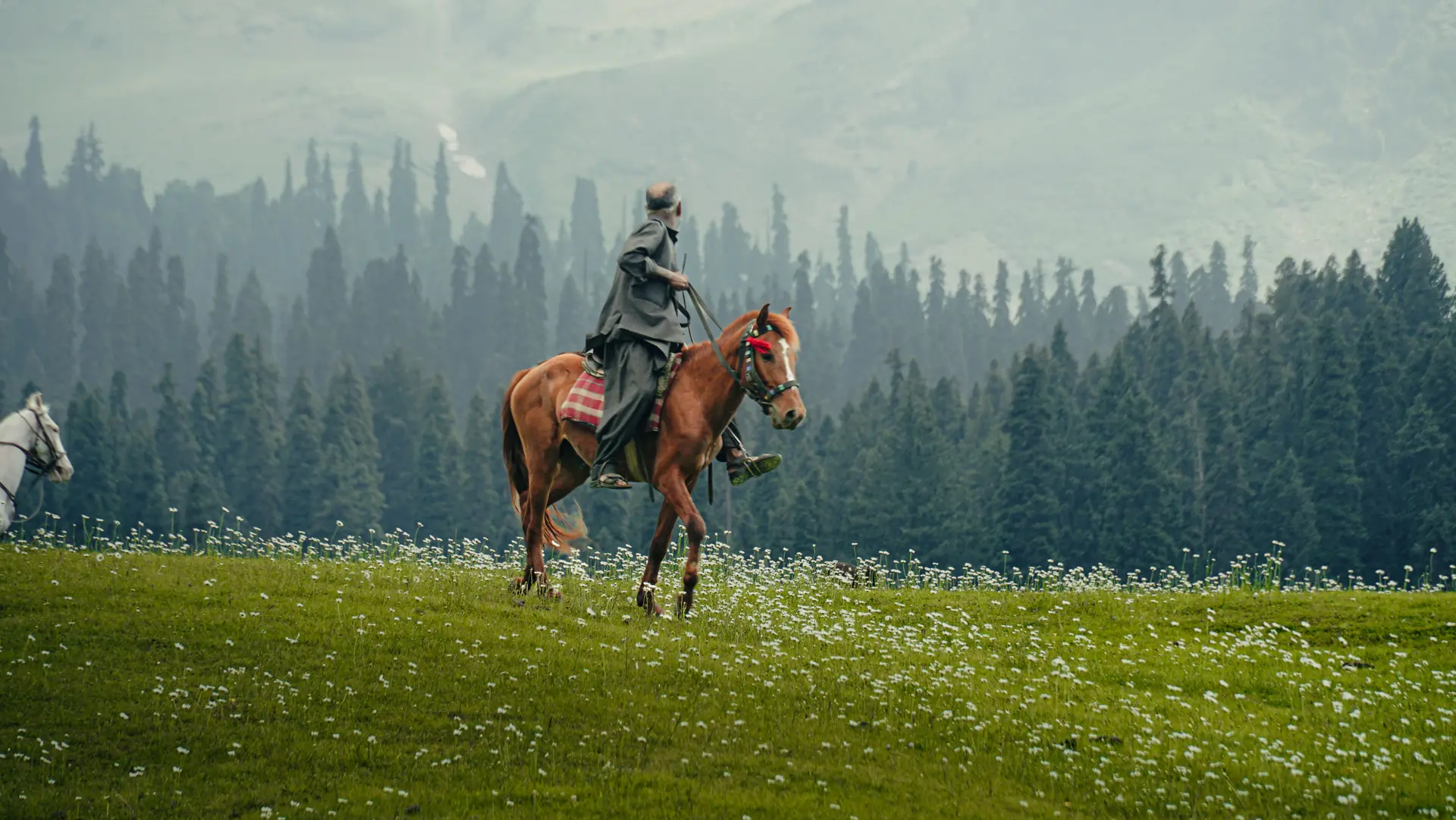 Summer in Kashmir — Meadows climb to the snowline.