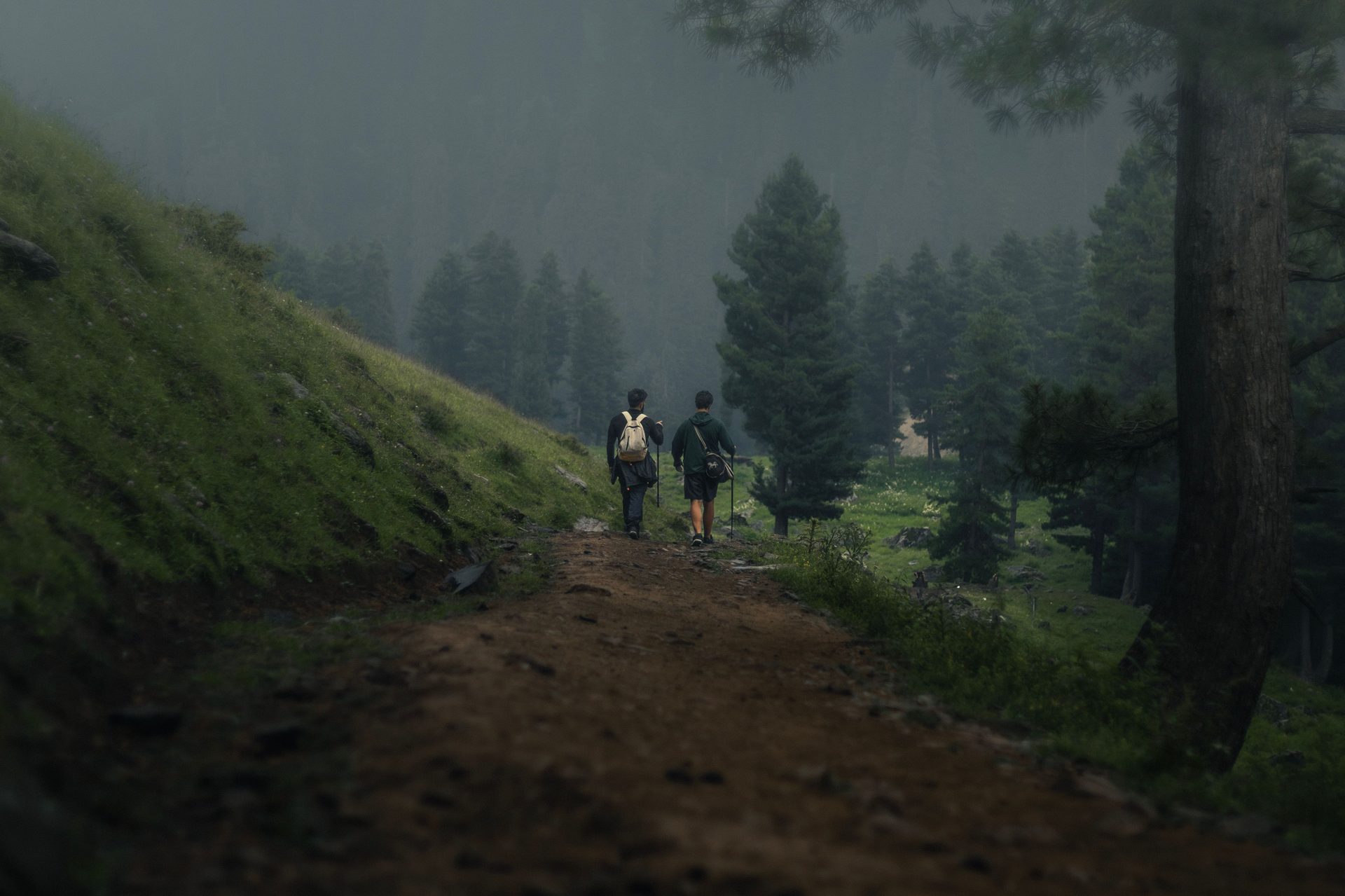 Naranag to Gangabal Trek